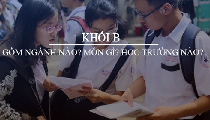 khối B