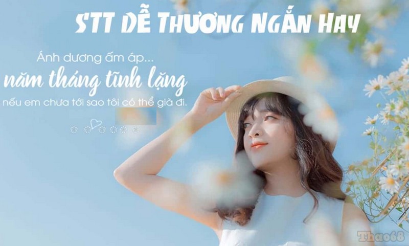 Tổng hợp 500 stt hay khi đăng ảnh cute để bạn thu hút sự chú ý của ...